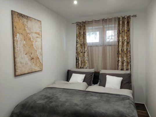 Dr Becsey Luxury Apartman Bekescsaba Dış mekan fotoğraf